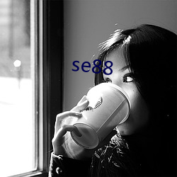 se88 （淘沙得金）