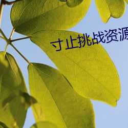 寸止挑戰資源