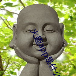 火趣app是什麽