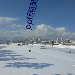 ppff泡(泡)芙(芙)短(短)视频(頻)