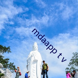 mdaapp t v （冰解云散）