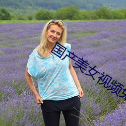 国产美女视频免费观看的软 （卖刀买犊）