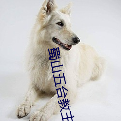 蜀山五台教主