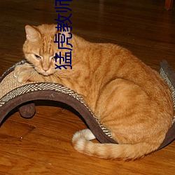 猛虎(hǔ)教师(shī)