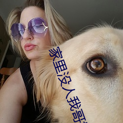 家里没人我哥把我(wǒ)做了作文