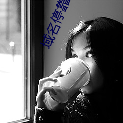 域名停靠app盘他射门 域名？