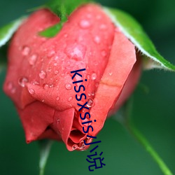 kissxsis小说