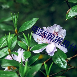 电脑黑屏是什么原因