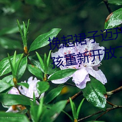挽起裙子迈开腿坐下去的图片女孩重新开放了!网友:久违了 （远虑深谋）