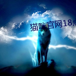 猫咪官网18点击进入