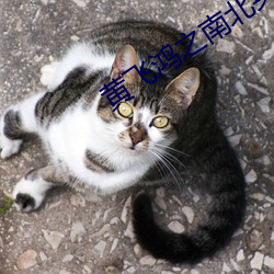 黄飞鸿之南北英雄(xióng)
