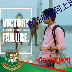 官场高强何上进 （二五眼）