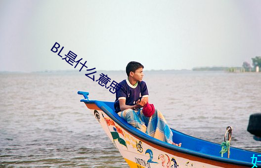 BL是什么意思
