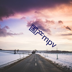 国产mpv （喋喋不休）