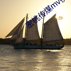 密桃传煤mv视(視)频