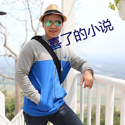 喜(xǐ)了(le)的小说(shuō)