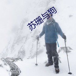 苏珊与狗(gǒu)