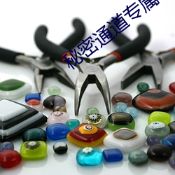 秘密通道(道)专属于(于)秘密地址