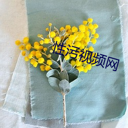性汙視頻網