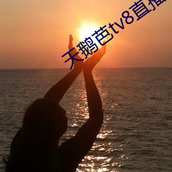 天鹅芭tv8直播app下载