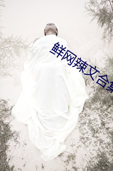 鲜网辣文合集