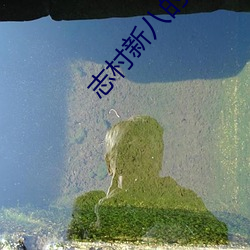 志村新八的本體是誰