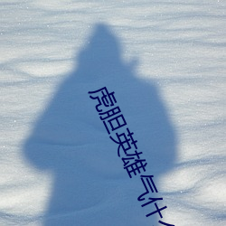 虎膽英雄氣什麽意思