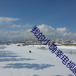 我的小确幸电视剧全集免费