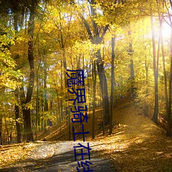 魔界骑士在线 （千姿万态）