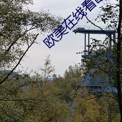 欧美在线看欧美高清视频免