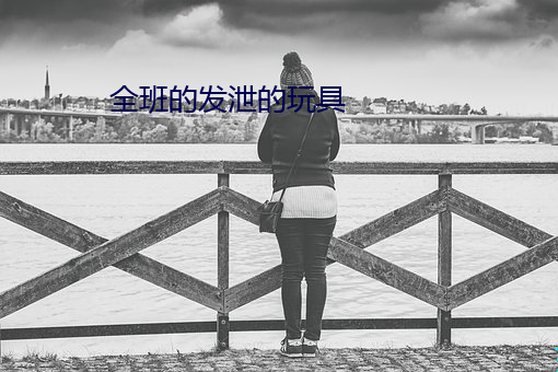 全班的发泄的玩具 （胡里胡涂）