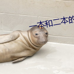 一本和二本的區別在哪裏