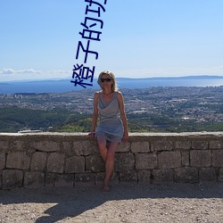 橙子的功效与作用 （气逾霄汉）