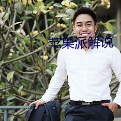 苹果派解说