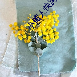 小黄人快(快)跑(跑)下载