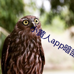 小黄人app暗部破解