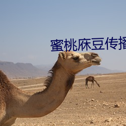蜜桃庥豆传播媒在线免费观看