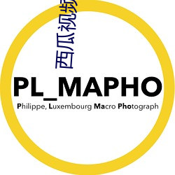 西瓜視頻官方免費安裝