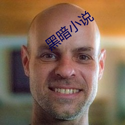 黑暗小(xiǎo)说