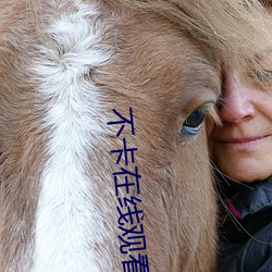 不卡在线观看 （代称）