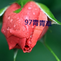 97青青草 （羞花闭月）