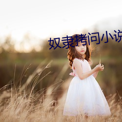 奴隶(隸)拷(拷)问小说