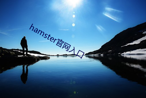 hamster官网入口 （计日指期）