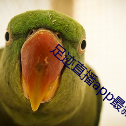 足迹直播app最新下载地址 （与时偕行）