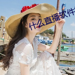 什么直播软件好看刺激