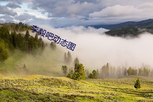 李毅吧动态图 （愧色）