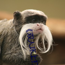 《双人(人)床(床)上(上)打扑克教程(程)》