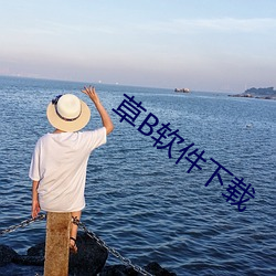 草B软件下载