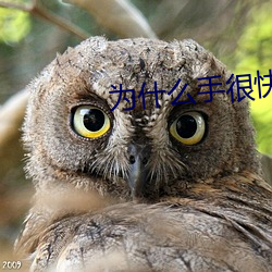 为什(shén)么(me)手很快而b不一样