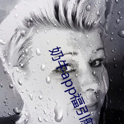 奶牛app福引航網站